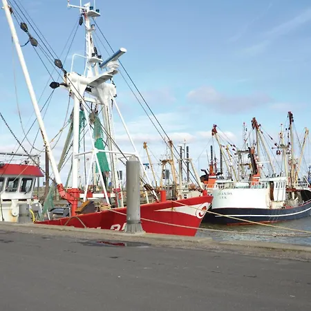 Four-bedroom In Romo 펜션 Romo